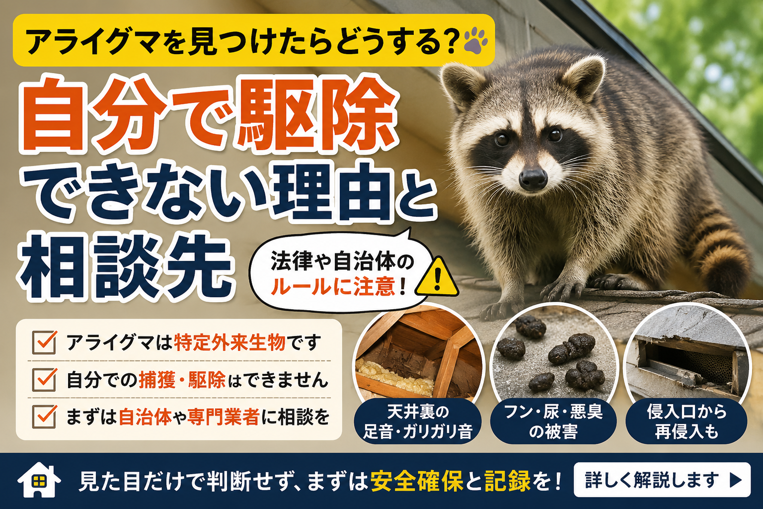 屋根まわりにいるアライグマと自分で駆除できない理由を解説するアイキャッチ画像